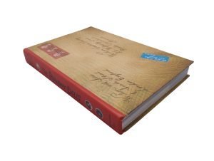The Runaway Dolls Hollow Book Safe