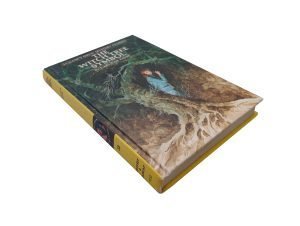 Nancy Drew 33 The Witch Tree Symbol Hollow Book Safe
